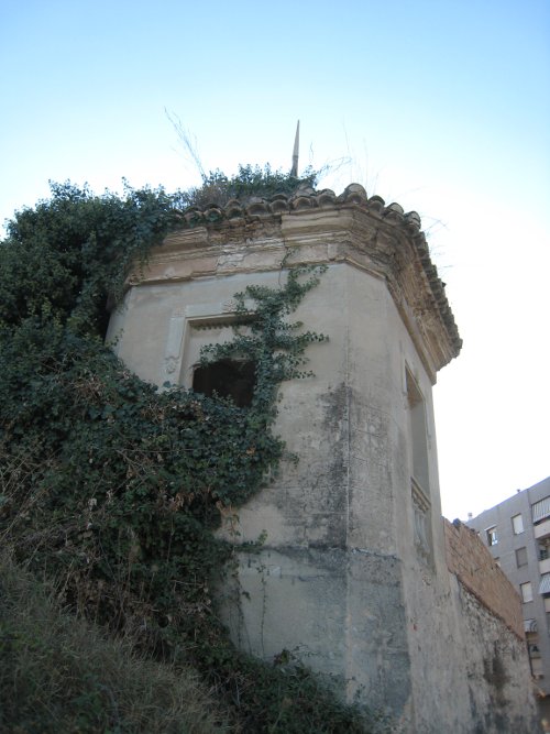 Ivy devouring the tower